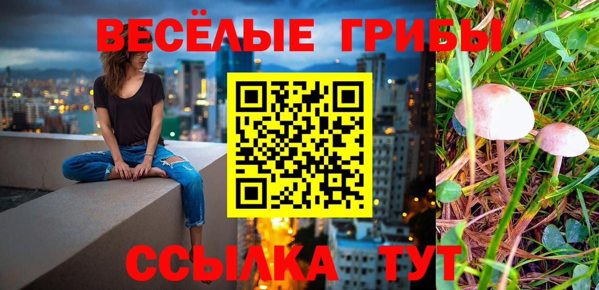 Псилоцибиновые грибы Cubensis Королёв